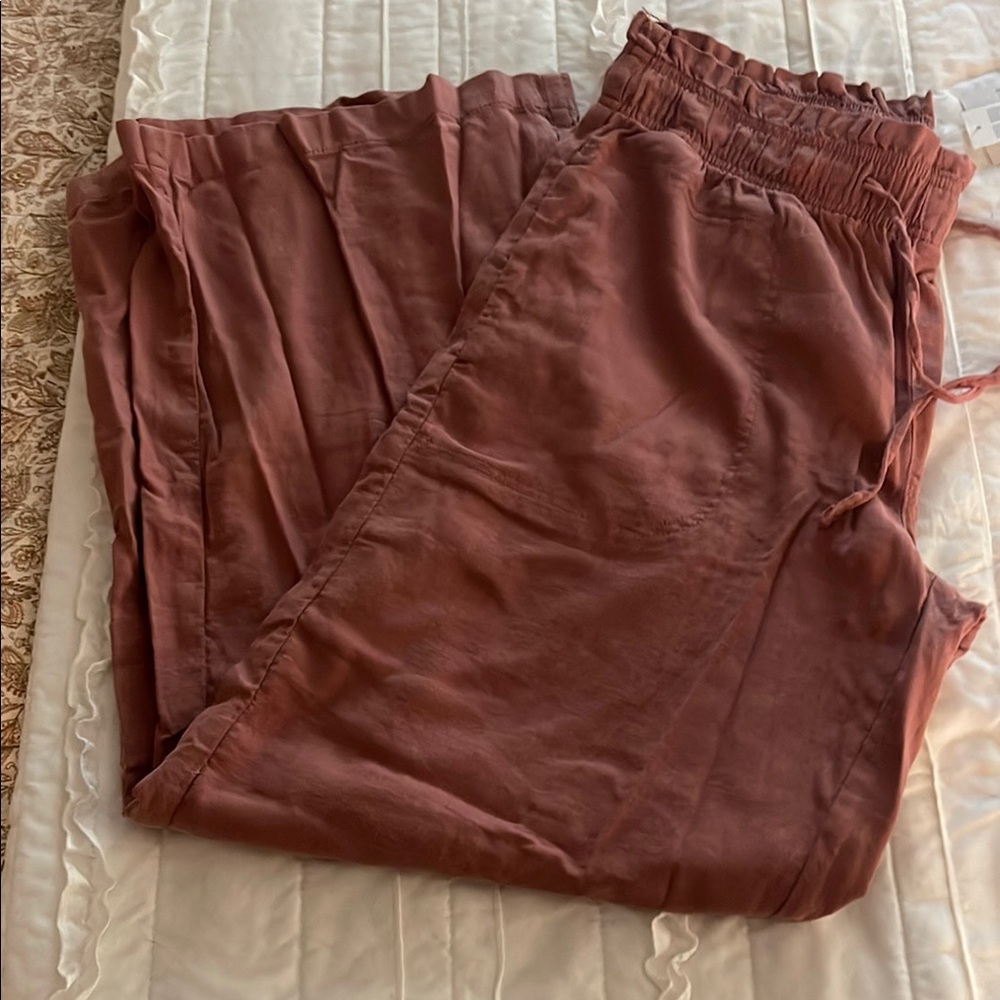 American Eagle Outfitters Rust Pants